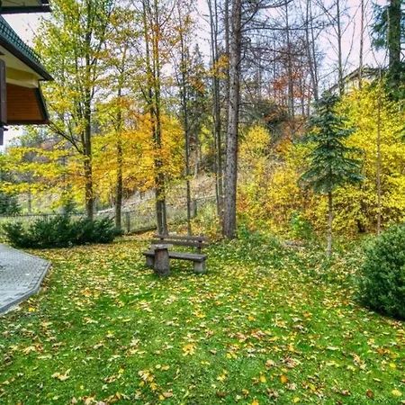 Golden -bright And Cozy - Great Location &db11 * Zakopane